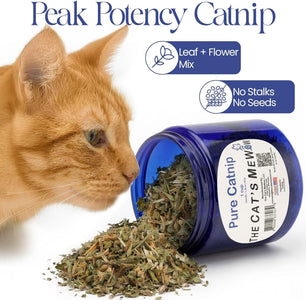 Pure Catnip for Cats North American Grown Fresh Catnip Jar